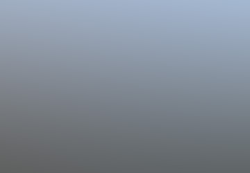 Participant Observation